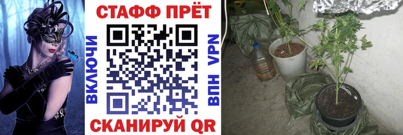 Продажа наркотиков Заинск Псилоцибиновые грибы  КЕТАМИН  ГАШ  Марихуана  Alpha PVP 