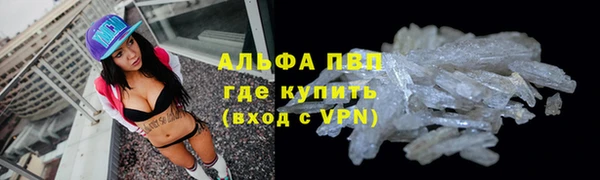 круглые Вяземский