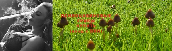 круглые Вяземский