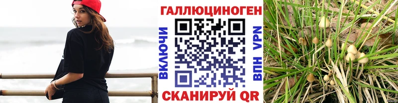 Псилоцибиновые грибы Psilocybe  Заинск 